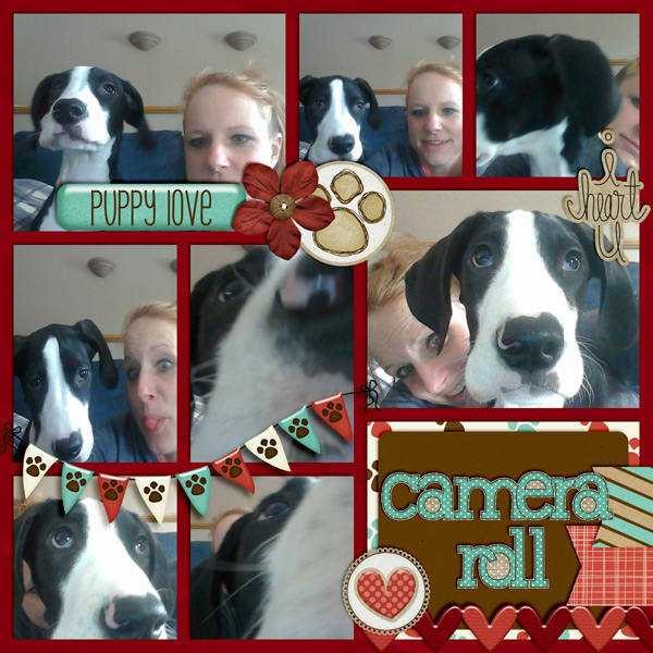 Camera roll