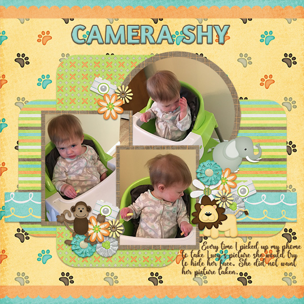 Camera Shy
