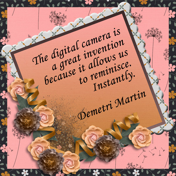 Camera