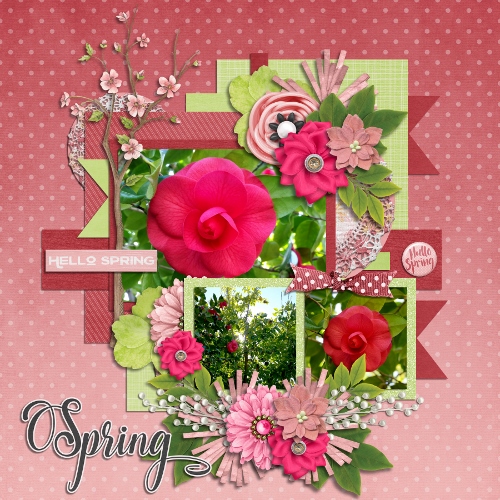 Camilia