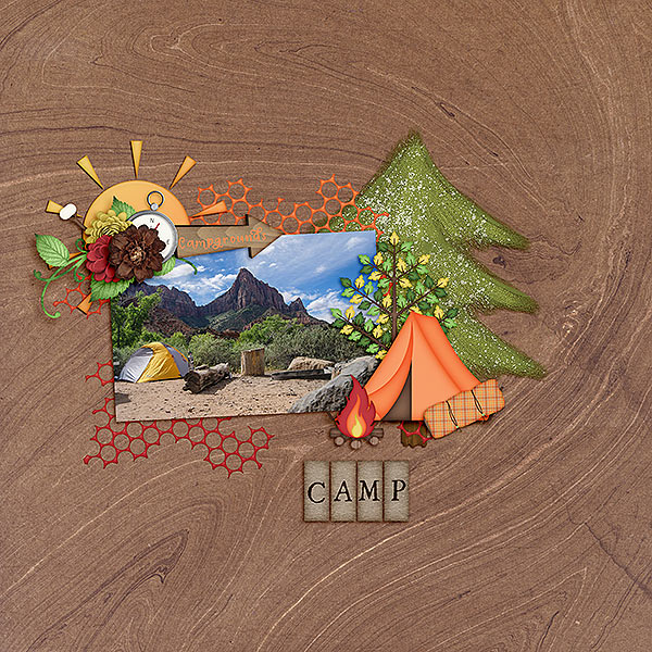 Camp