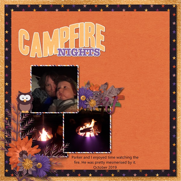 Campfire Nights