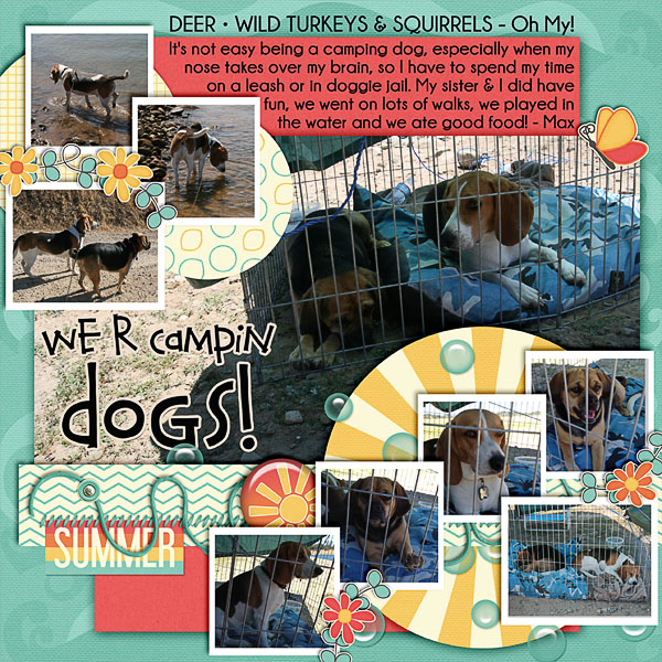 Campin Dogs