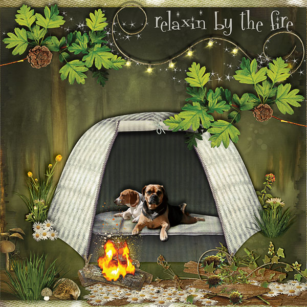campin pups