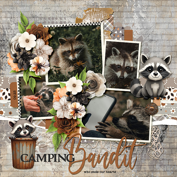 Camping Bandit