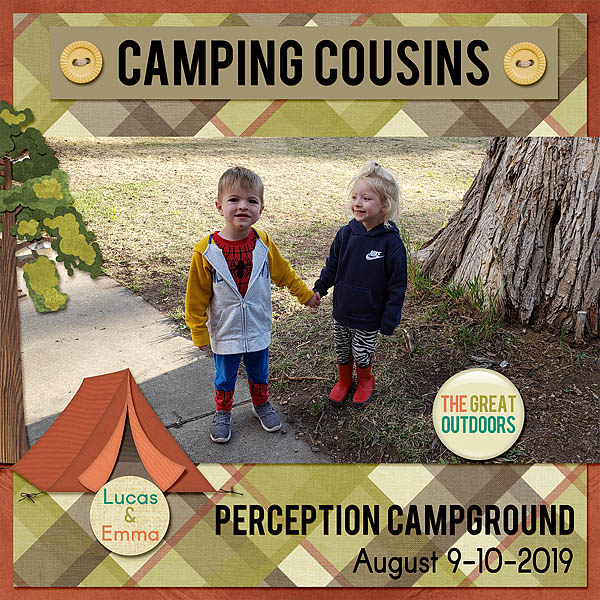 Camping Cousins
