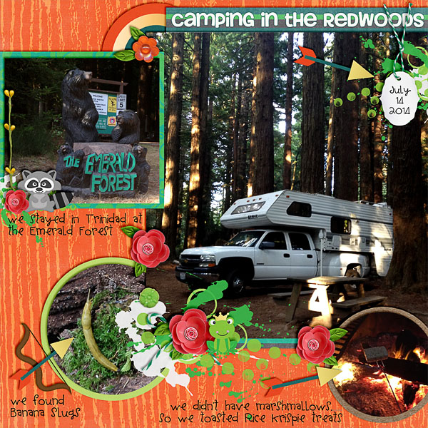 Camping in the Redwoods
