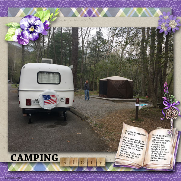 Camping Story