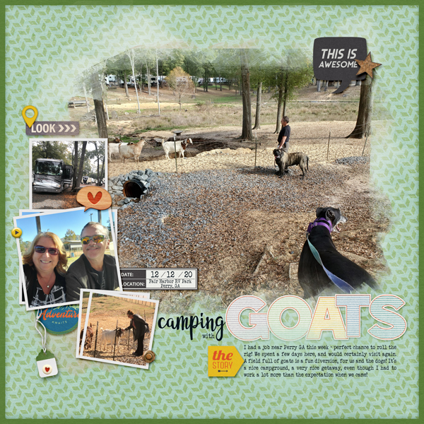 Camping with goats