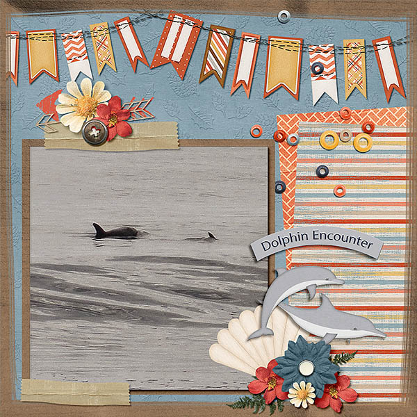 Camping_-_Dolphins
