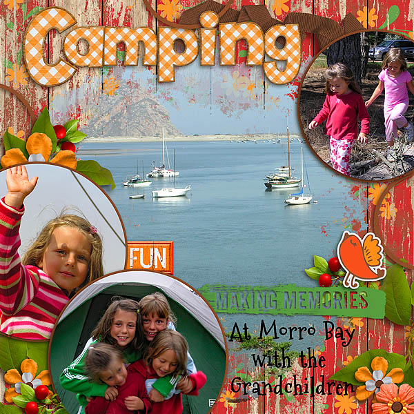 Camping_sts_junejamboree_set4-1rfw