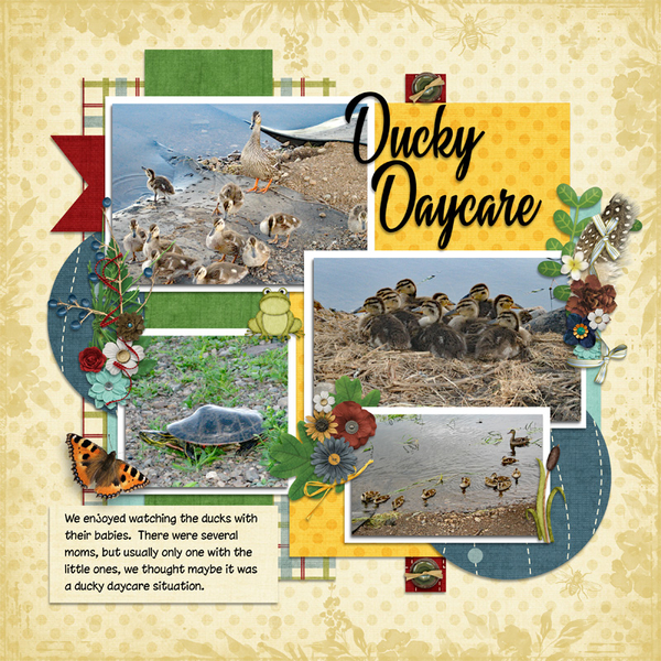 canada ducky daycare