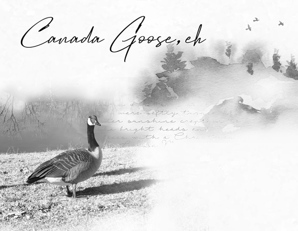 Canada Goose, eh