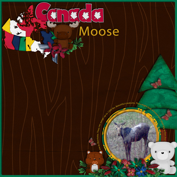Canada Moose