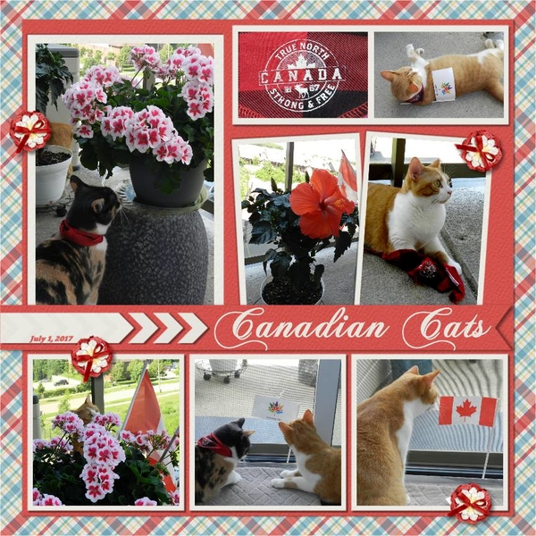 Canadian Cats