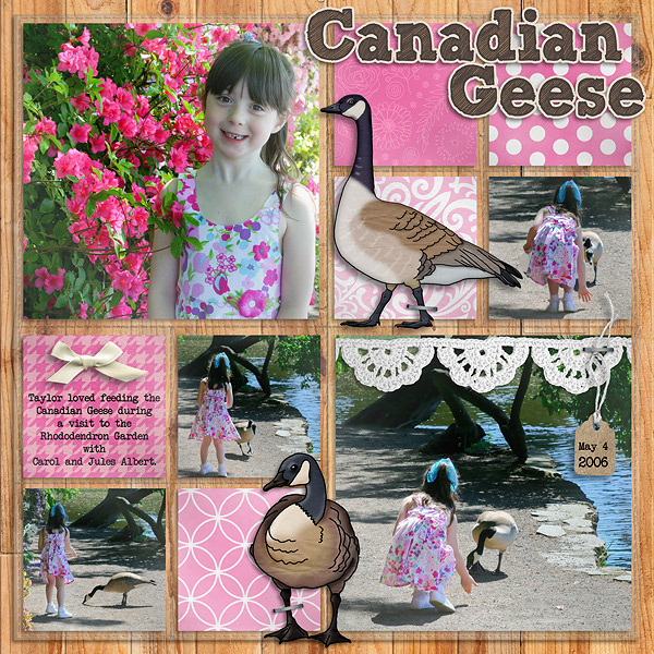 Canadian Geese 2006