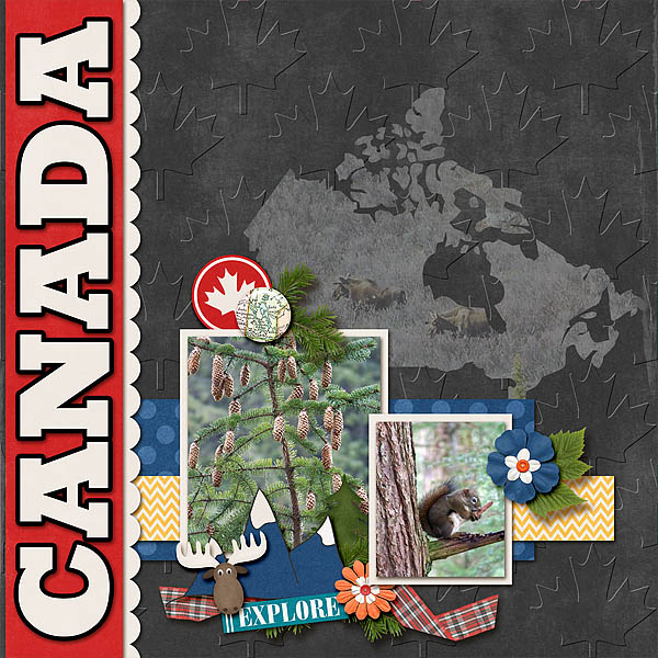 Canadian Wildlife