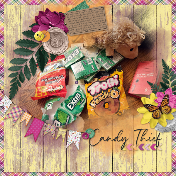 Candy Thief