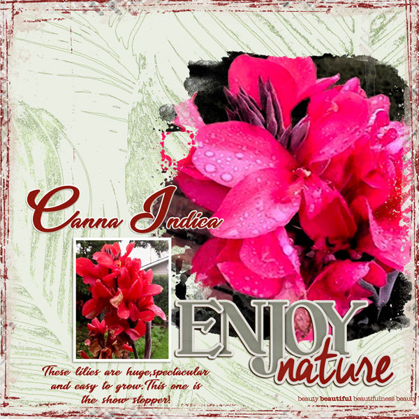 CANNA INDICA
