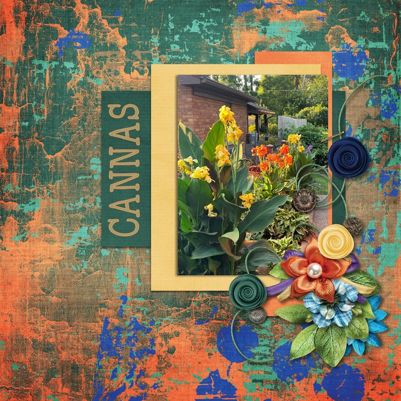 Cannas.jpg