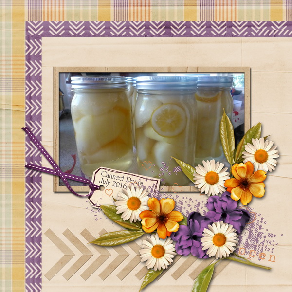 Canned Pears
