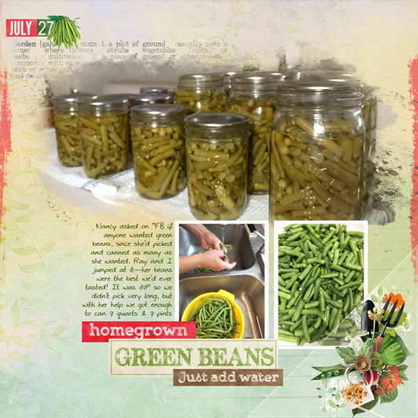 Canning Green Beans