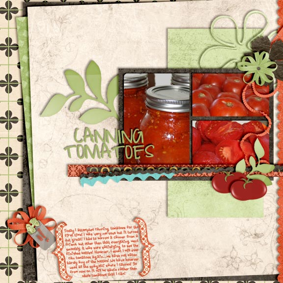 Canning Tomatoes
