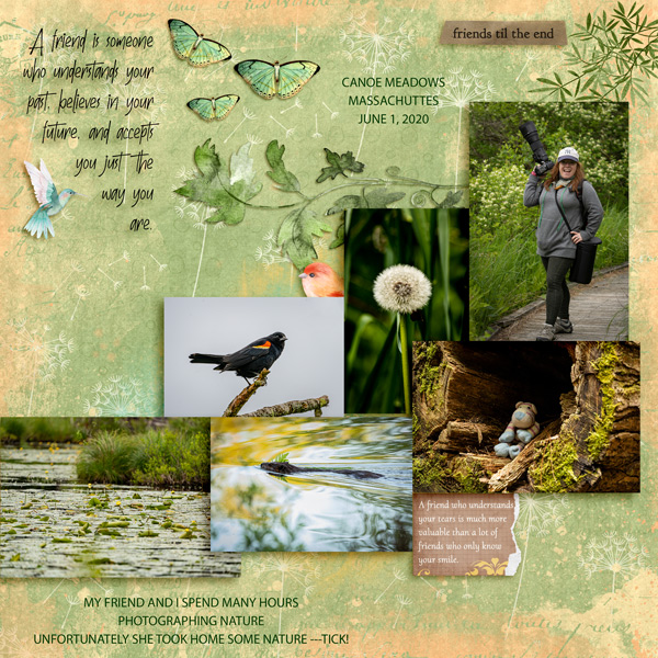 CANOE MEADOWS - MOMENTS -MAR 23