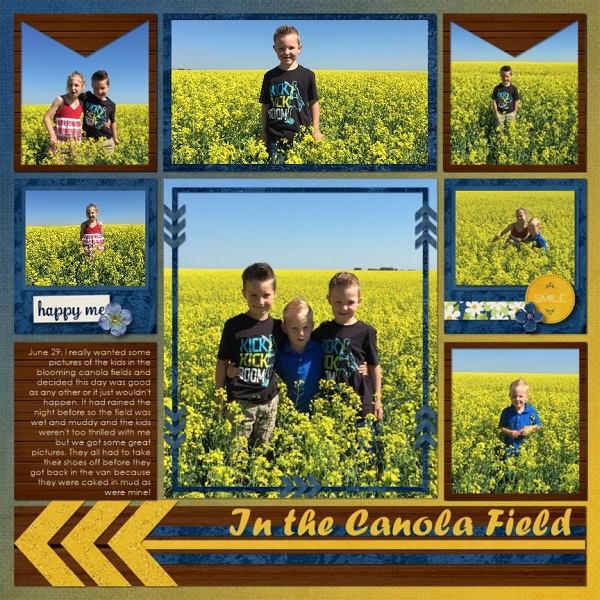 Canola Field
