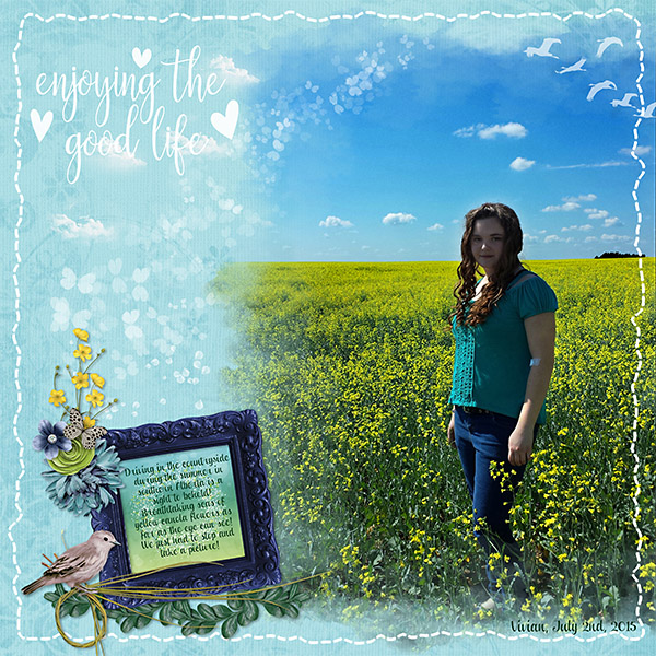 Canola_Fields_web