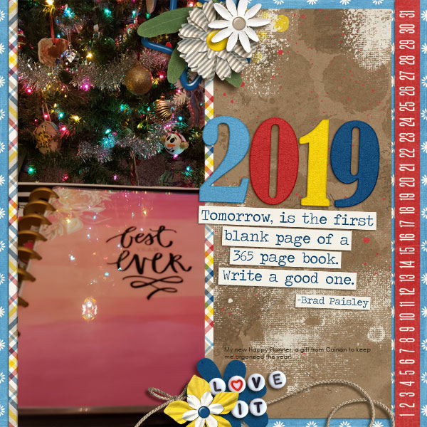 cap_2019Jan-bundle