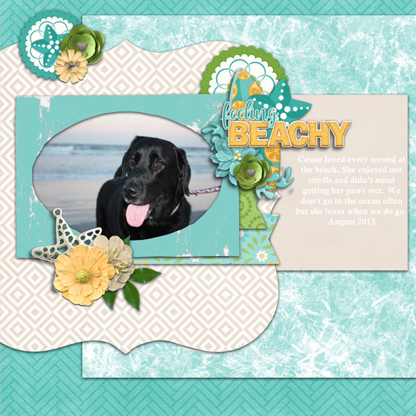 cap_beachparty_altimasport
