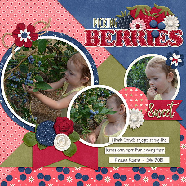 cap_berrysweet_berrypicking2015web