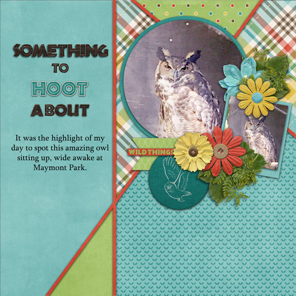 cap_inpiecestemps12_wildthings_altimasport