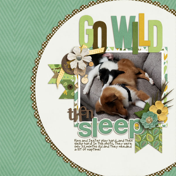 cap_intothewild-bundle