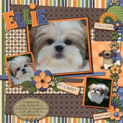 cap_lc_catsanddogs_ellie