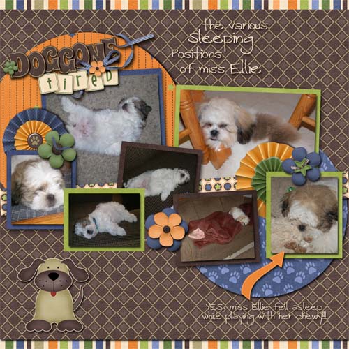cap_lc_catsanddogs_ellie3