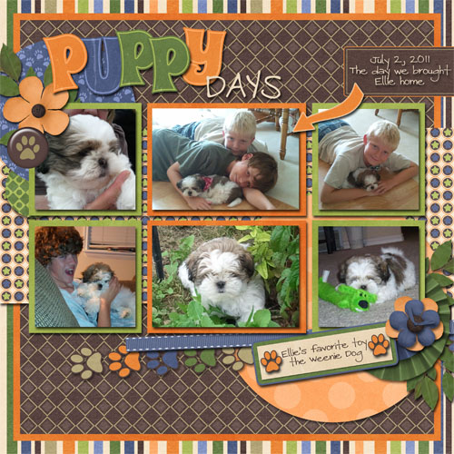 cap_lc_catsanddogs_ellie4