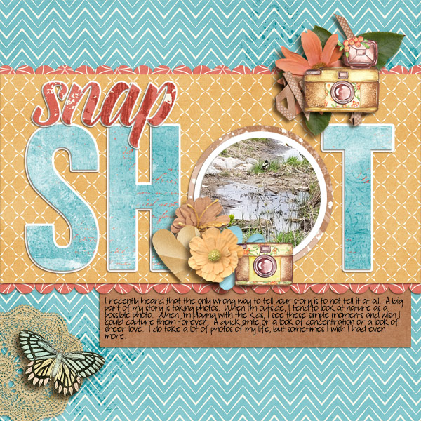 cap_photograph-bundles