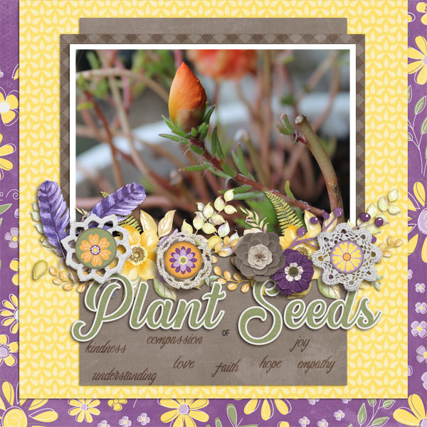 cap_plantseedstemps-kit