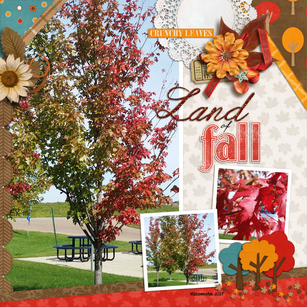 cap_thebigpictemps20--all-about-fall_1103