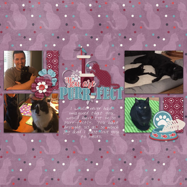 cap_whitespacetemps31_catsmeow_altimasport