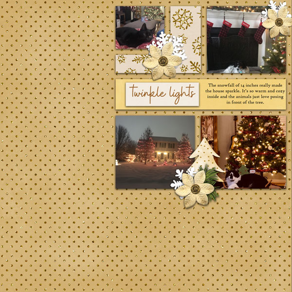 cap_whitespacetemps32_holidaydazzle