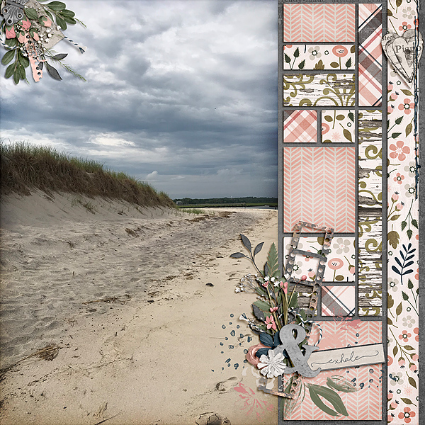 Cape Cod Coast