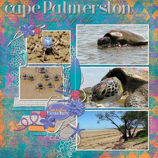 Cape palmerston
