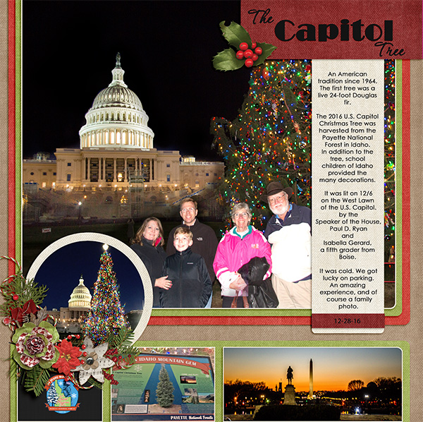 Capitol Christmas Tree -DC
