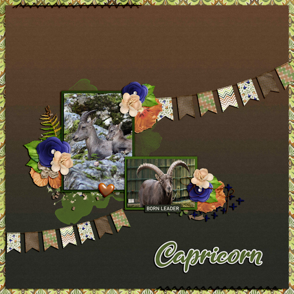 capricorn