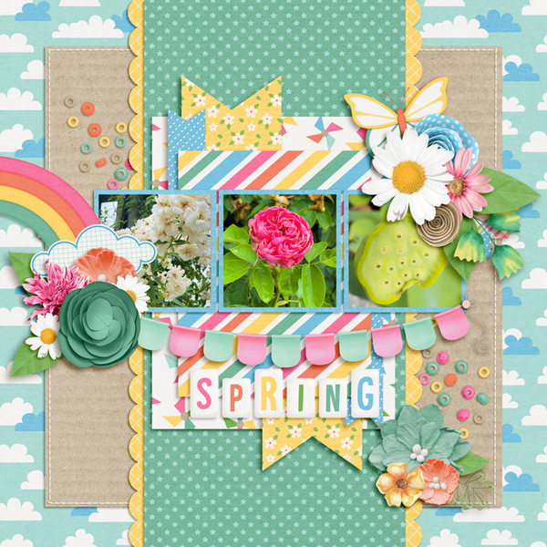 Captivated by Spring