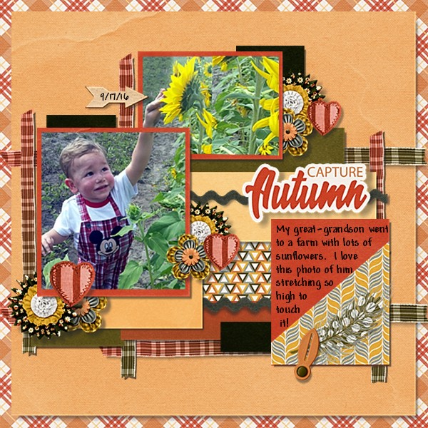 Capture Autumn Sept 17, 2016