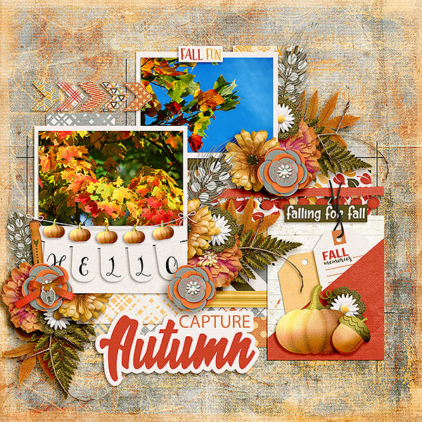Capture Autumn